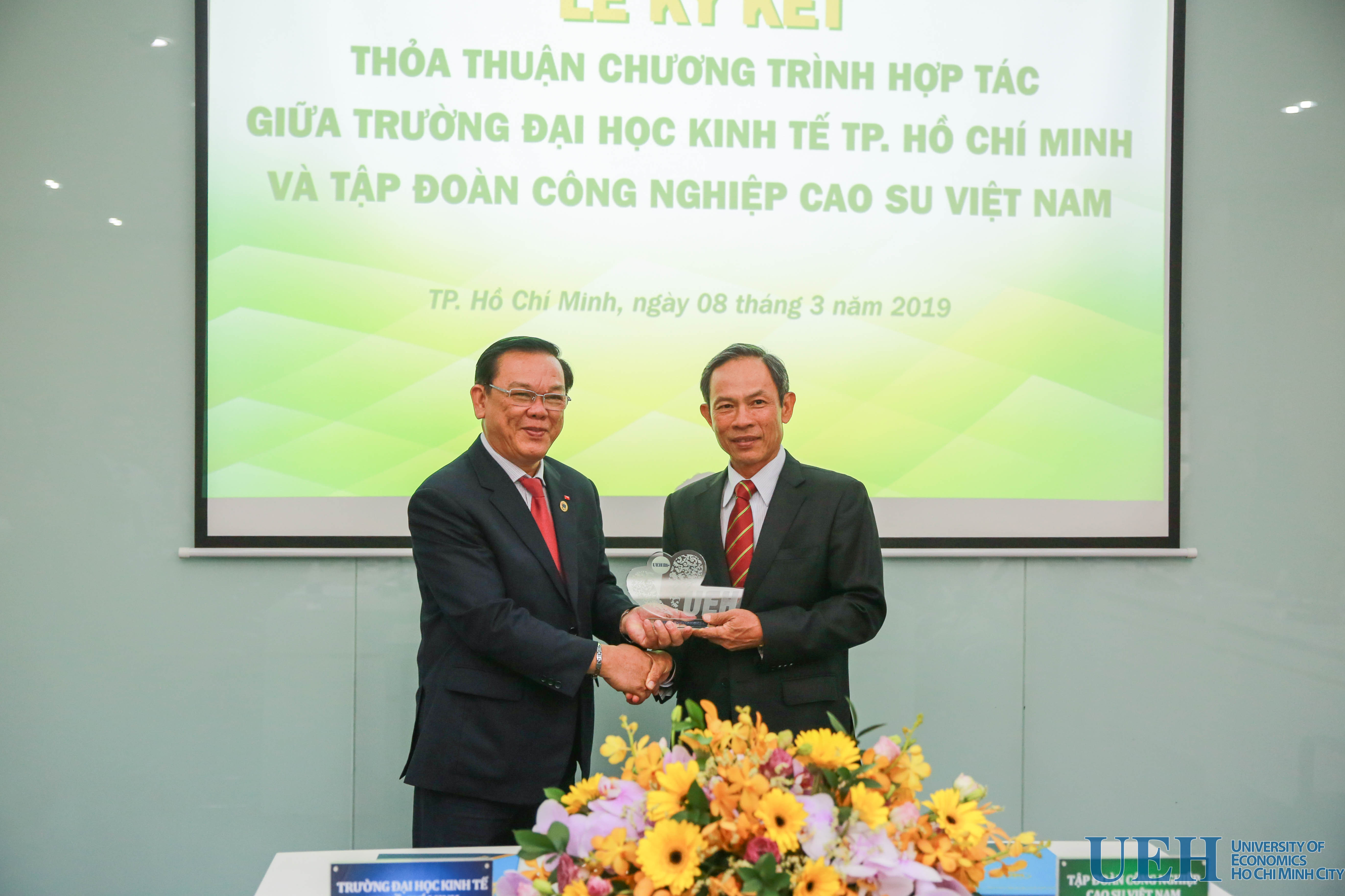 cá cược thể thao hul city